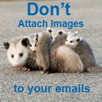 don't attach images to your emails